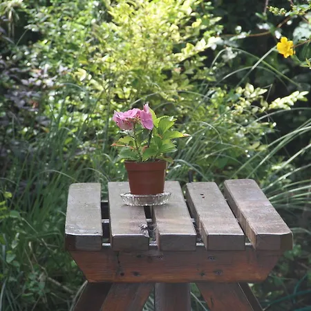 Bed & Breakfast Marguerite's Skibbereen