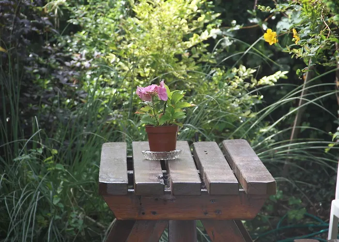 Bed & Breakfast Marguerite'S B&B Skibbereen